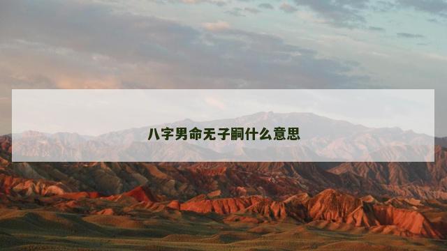 八字男命无子嗣什么意思