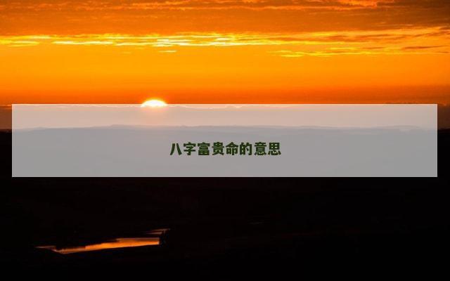 八字富贵命的意思