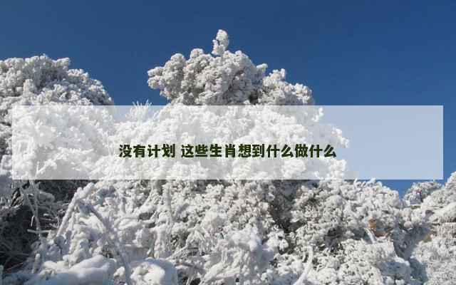 没有计划 这些生肖想到什么做什么