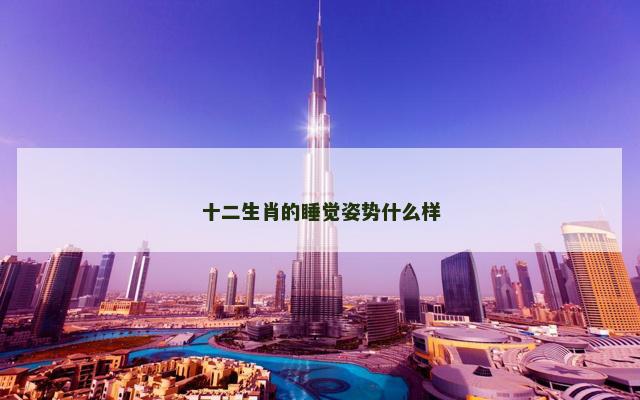 十二生肖的睡觉姿势什么样
