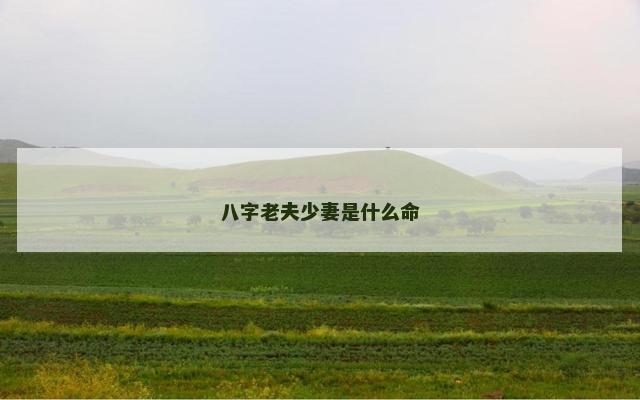八字老夫少妻是什么命