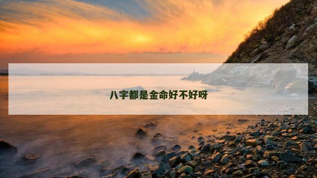 八字都是金命好不好呀