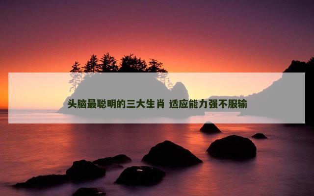 头脑最聪明的三大生肖 适应能力强不服输