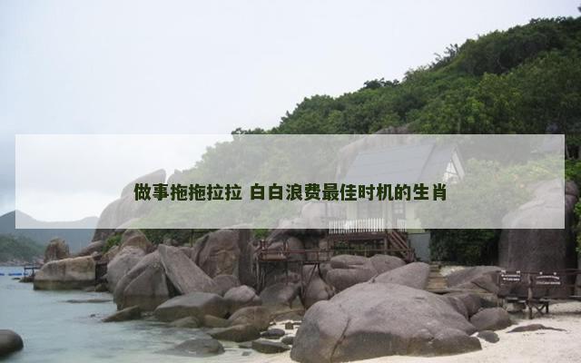 做事拖拖拉拉 白白浪费最佳时机的生肖