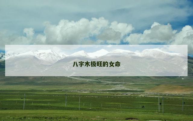 八字木极旺的女命