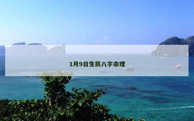 1月9日生辰八字命理