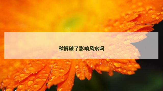 秋裤破了影响风水吗