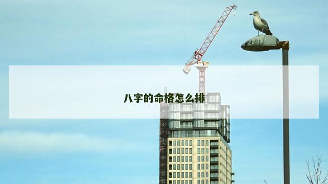八字的命格怎么排