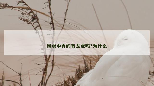 风水中真的有龙虎吗?为什么