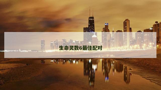 生命灵数6最佳配对