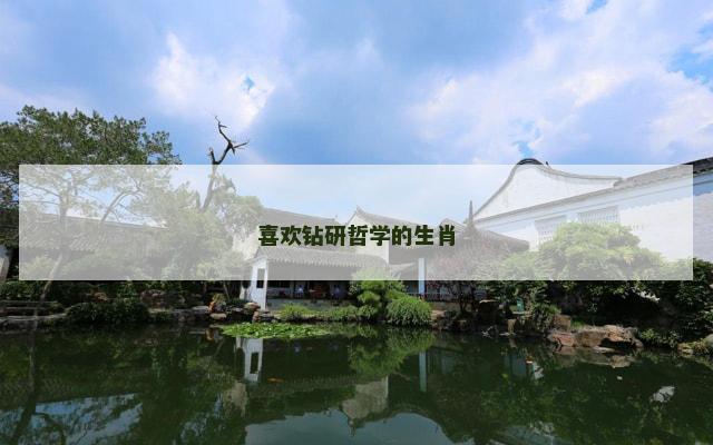喜欢钻研哲学的生肖