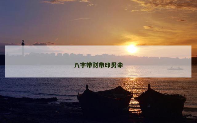 八字带财带印男命