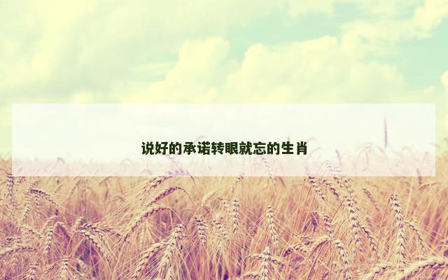 说好的承诺转眼就忘的生肖