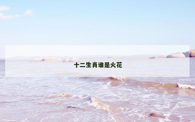 十二生肖谁是火花