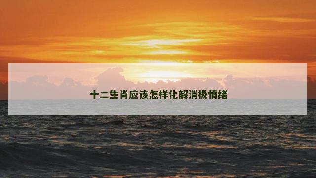 十二生肖应该怎样化解消极情绪