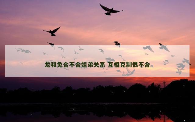 龙和兔合不合姐弟关系 互相克制很不合