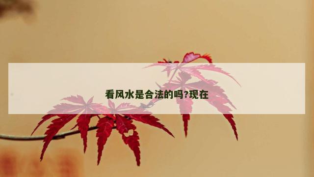 看风水是合法的吗?现在