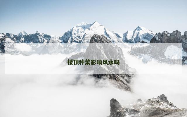 楼顶种菜影响风水吗