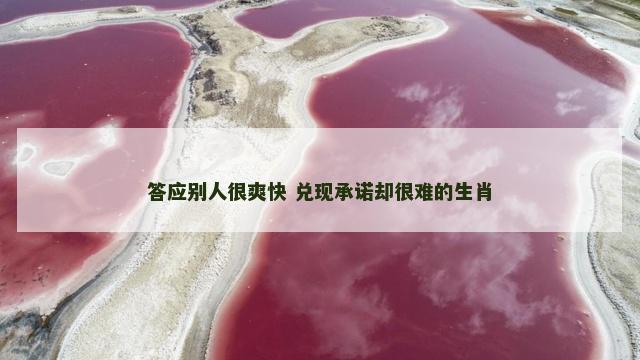 答应别人很爽快 兑现承诺却很难的生肖