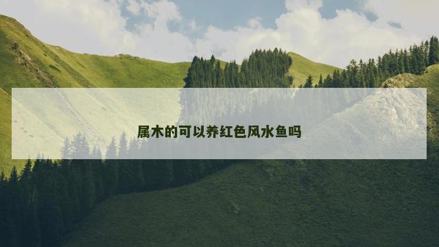 属木的可以养红色风水鱼吗