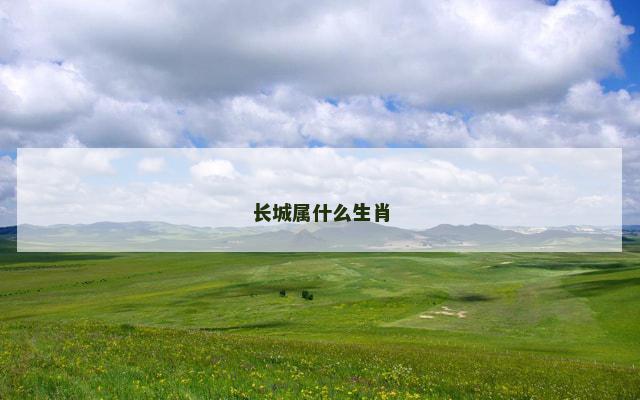 长城属什么生肖