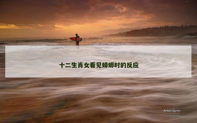 十二生肖女看见蟑螂时的反应