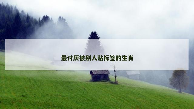 最讨厌被别人贴标签的生肖