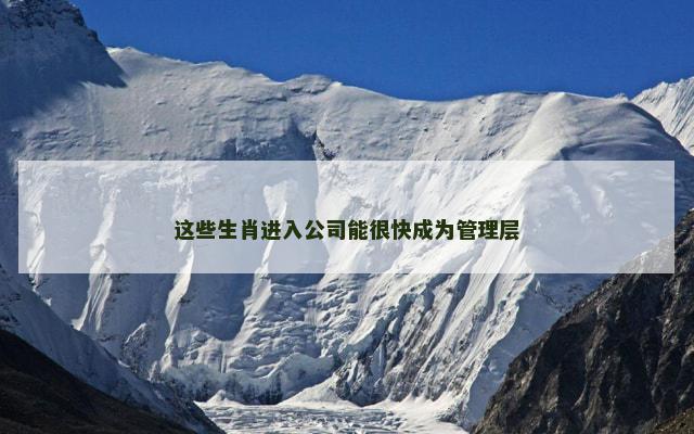 这些生肖进入公司能很快成为管理层