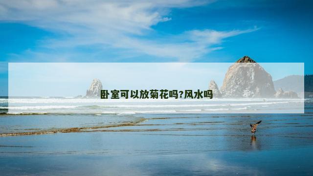 卧室可以放菊花吗?风水吗
