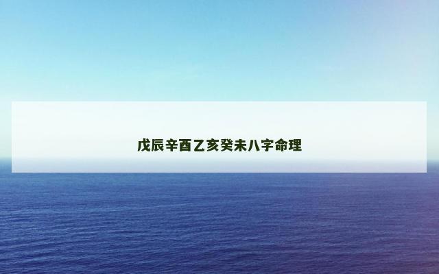 戊辰辛酉乙亥癸未八字命理