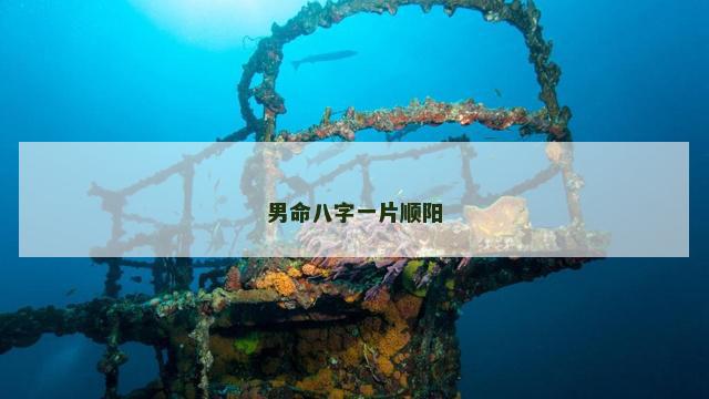 男命八字一片顺阳