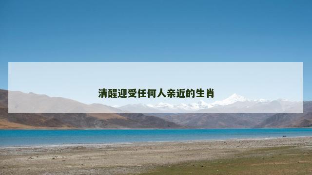 清醒迎受任何人亲近的生肖