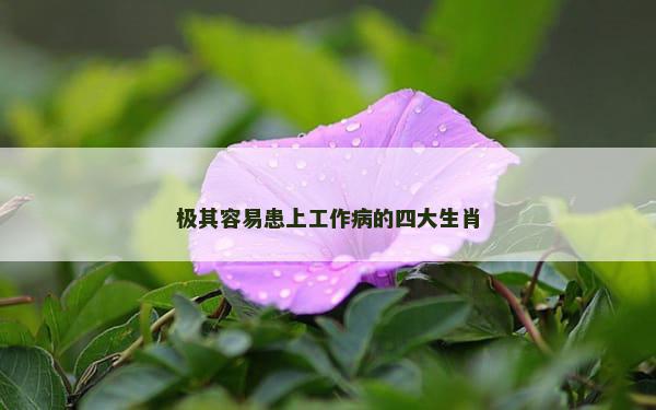 极其容易患上工作病的四大生肖