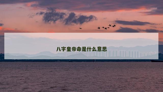 八字皇帝命是什么意思