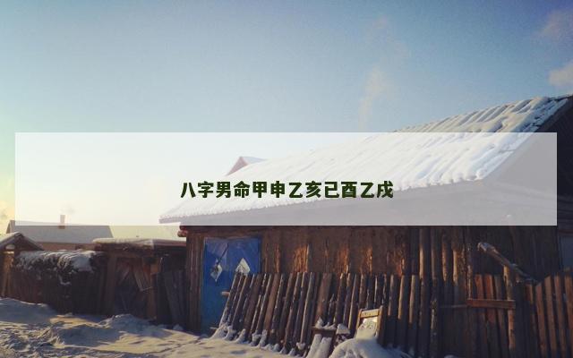八字男命甲申乙亥已酉乙戌