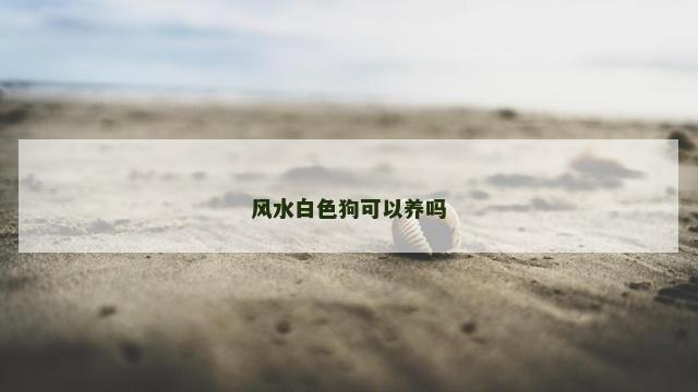 风水白色狗可以养吗