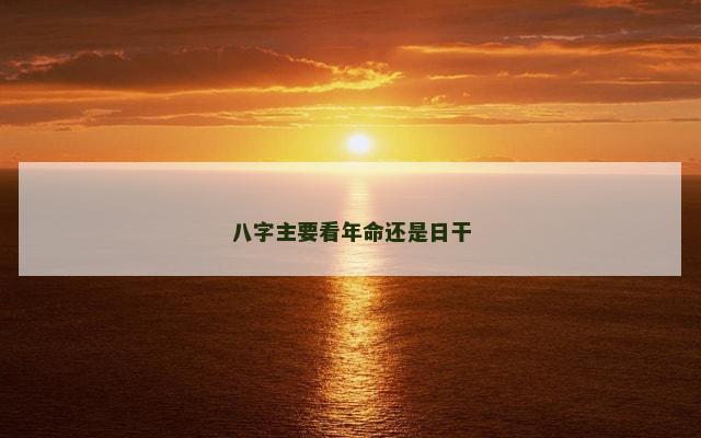 八字主要看年命还是日干