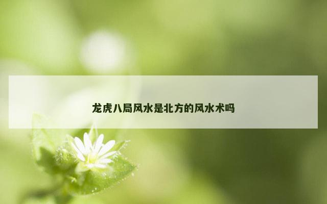龙虎八局风水是北方的风水术吗