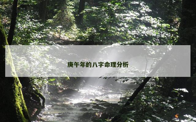 庚午年的八字命理分析