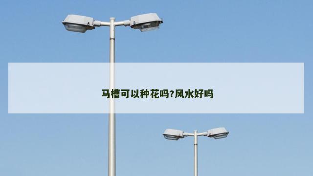 马槽可以种花吗?风水好吗