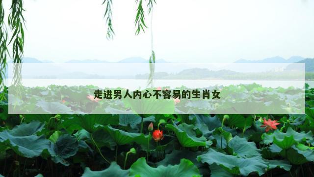 走进男人内心不容易的生肖女