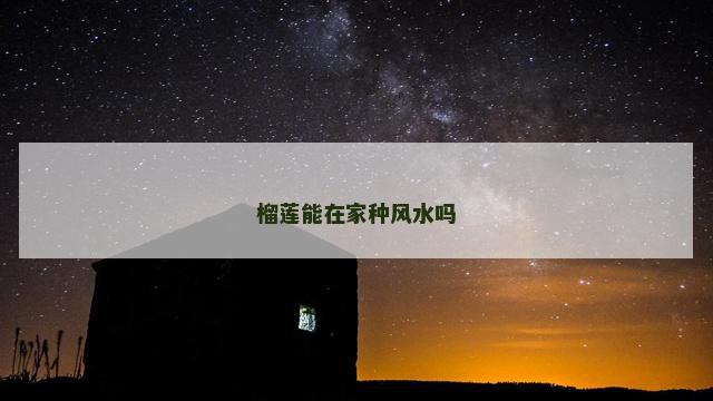 榴莲能在家种风水吗