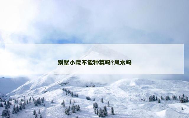 别墅小院不能种菜吗?风水吗