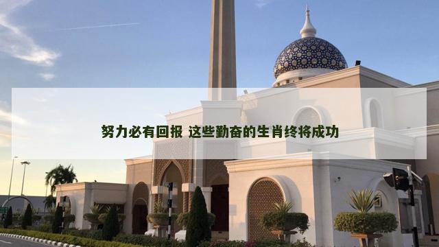 努力必有回报 这些勤奋的生肖终将成功