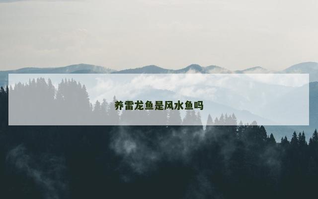 养雷龙鱼是风水鱼吗