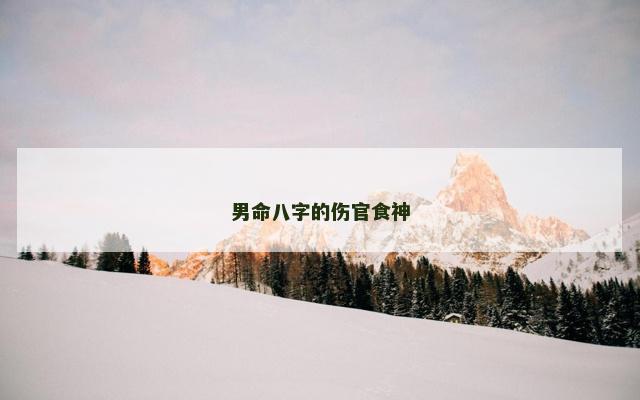 男命八字的伤官食神
