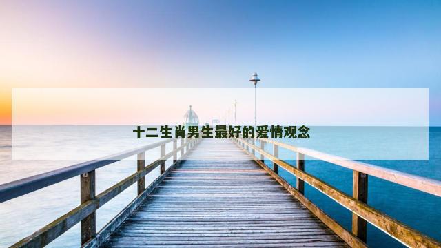 十二生肖男生最好的爱情观念