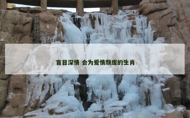 盲目深情 会为爱情颓废的生肖
