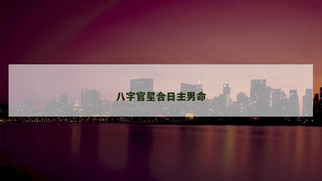 八字官星合日主男命