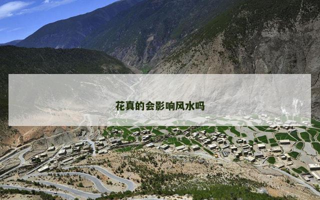 花真的会影响风水吗